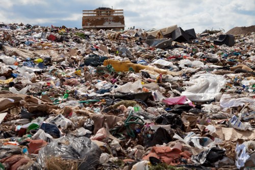 Office workers participating in a recycling program